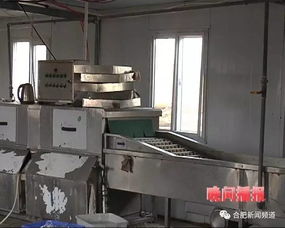 震驚 肥西這些 洗碗廠 環境觸目驚心,這樣的消毒餐具你還敢用嗎