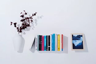 這個(gè)會(huì)隱身的酒店 是通往二次元的傳送門(mén)